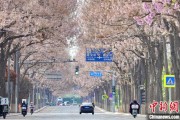临猗共建“花园城市” 北京这场议政会“百花齐放”