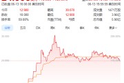临猗上市首日暴涨140% 军用无人机公司登陆纽交所 AI打造产品核心竞争力