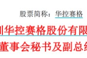 临猗华控赛格董事长、董秘、副总经理三高管同日辞职