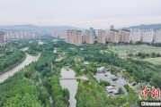 临猗西宁市举办六五环境日主题宣传活动